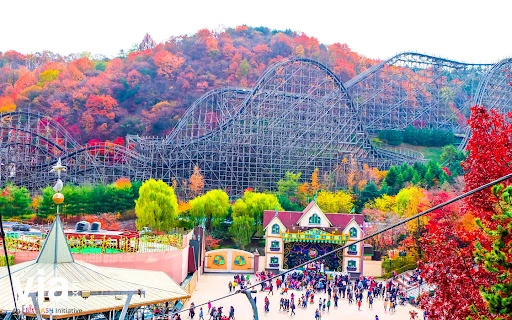 Tour Korea, Paket Wisata Korea, Han River Cruise, Nami Island, Seoul, Gyeongbokgung, Asiana Airlines, Paket Murah Korea