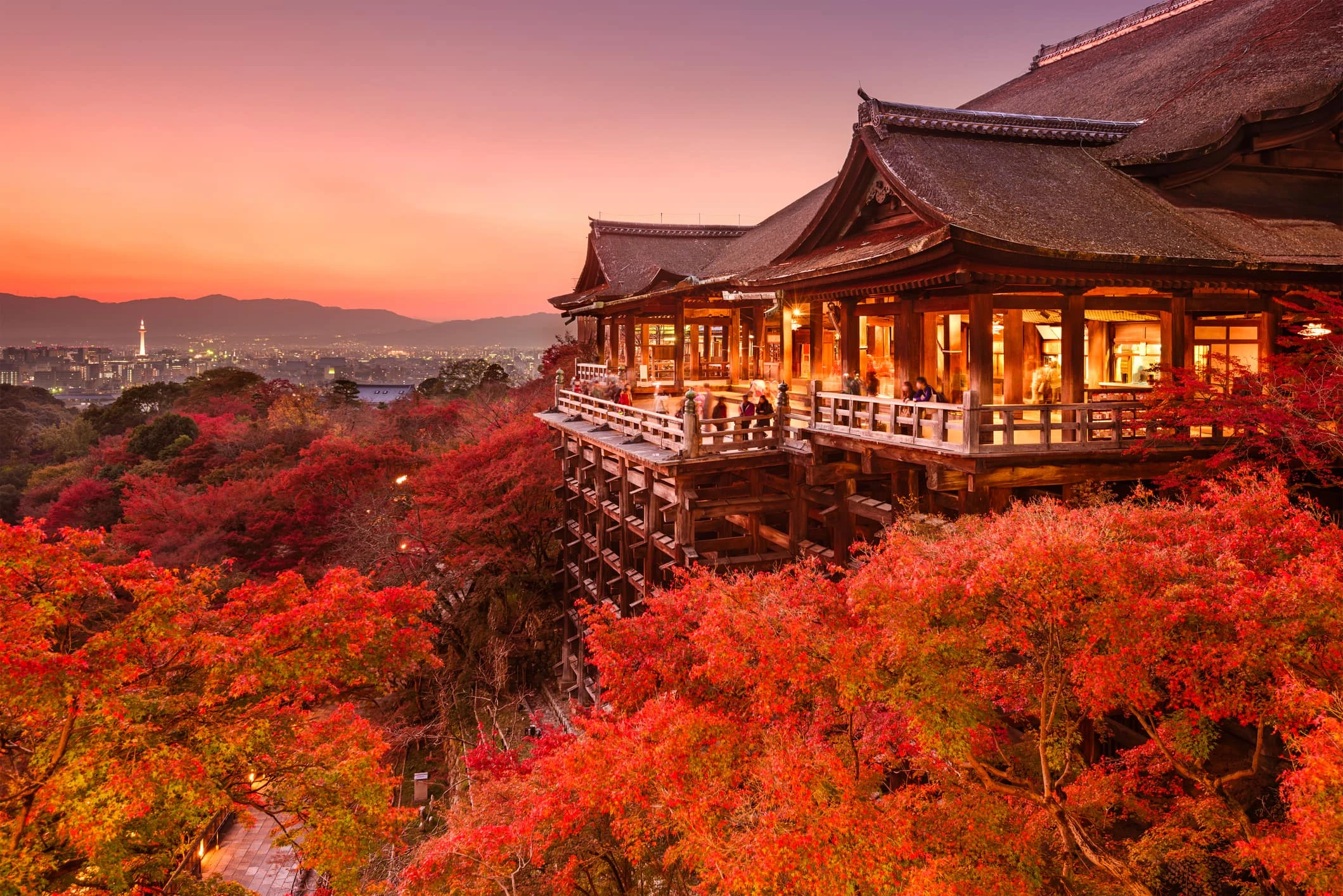 japan golden route, tour shirakawago, paket wisata jepang, 7 hari 5 malam, premium tour jepang, wisata gunung fuji, liburan osaka, bmm travel
