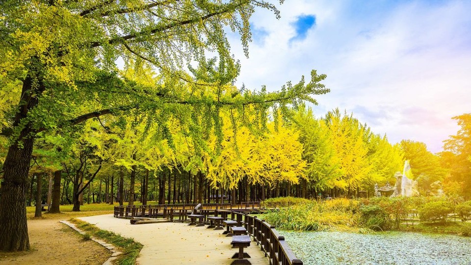 paket tour korea lebaran 2026, spring sale korea, tour korea murah, lotte world nami island petite france