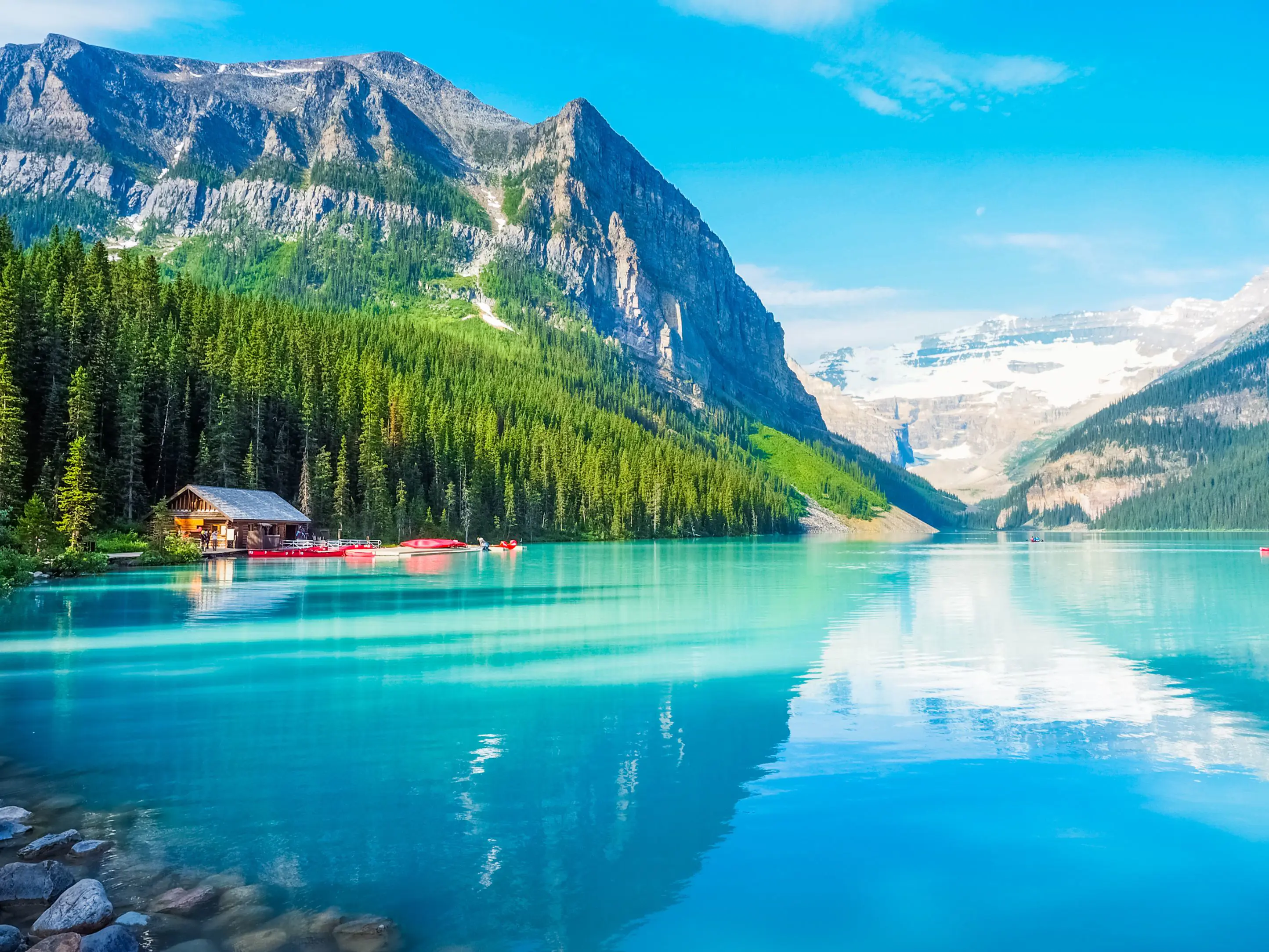 lake louse