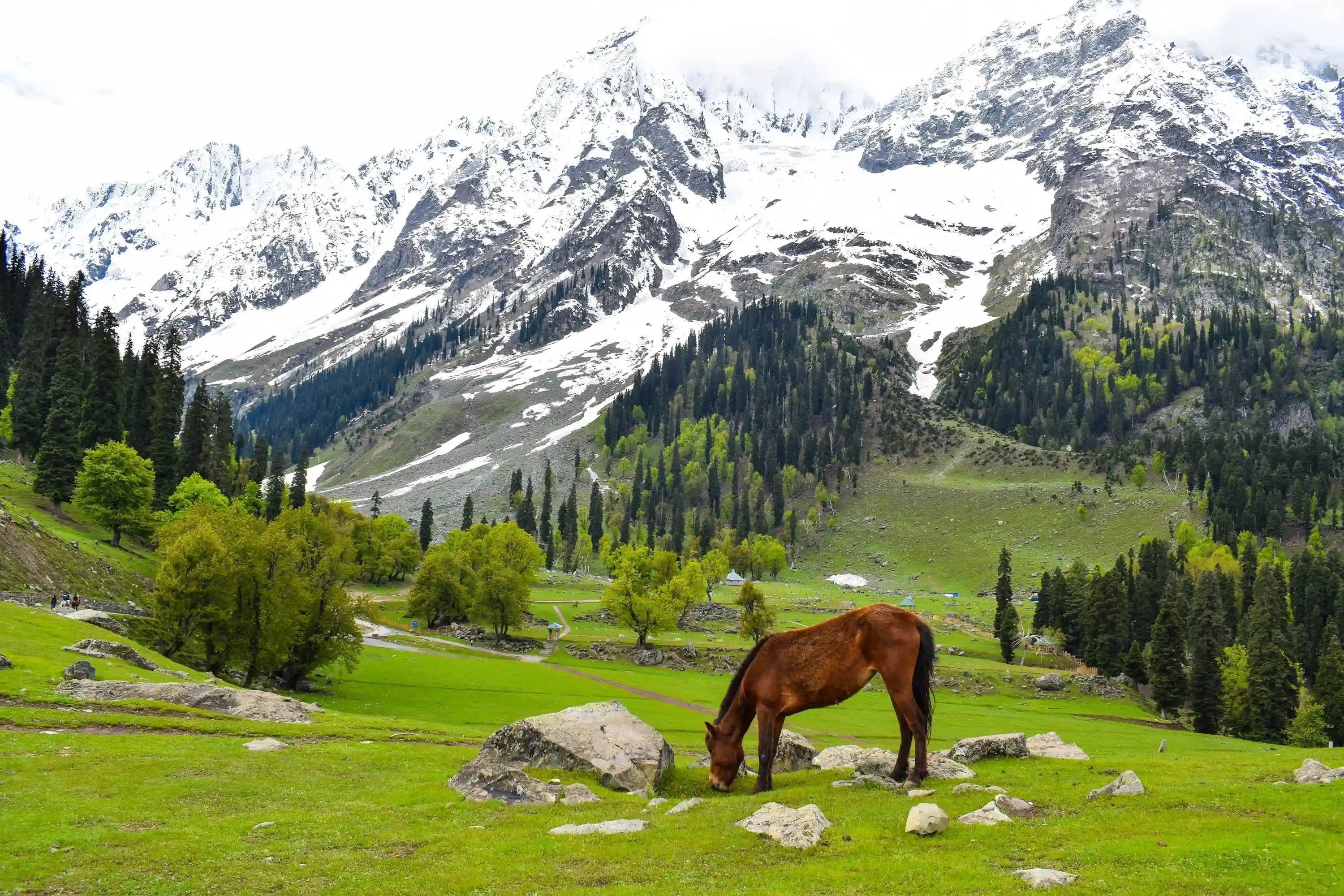 sonamarg valley
