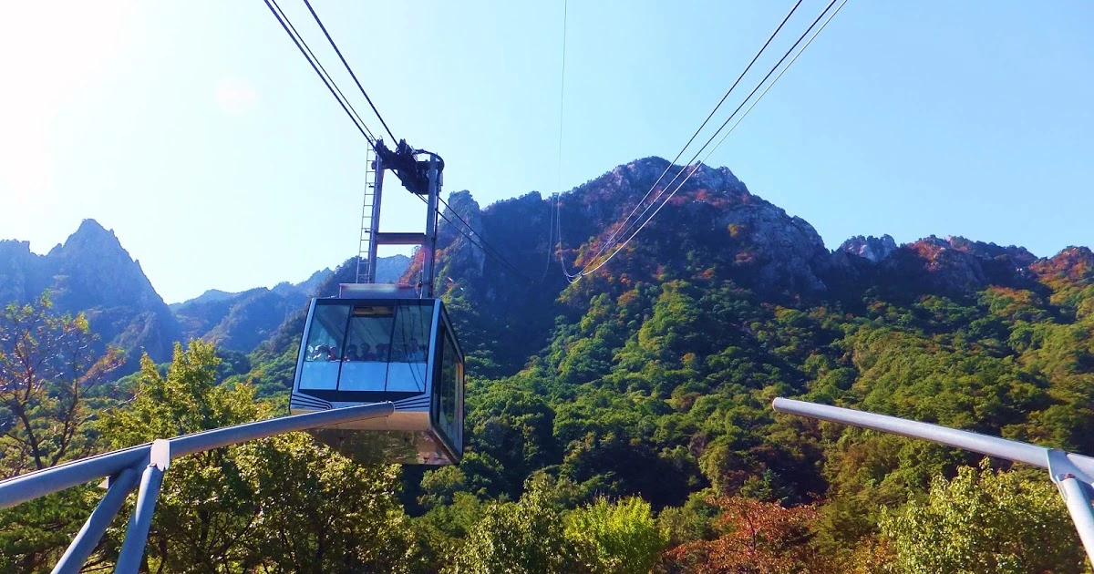 Tour Korea 2025, Paket Wisata Korea, Han River Cruise, Nami Island, Seoul, Gyeongbokgung, Asiana Airlines, Paket Murah Korea