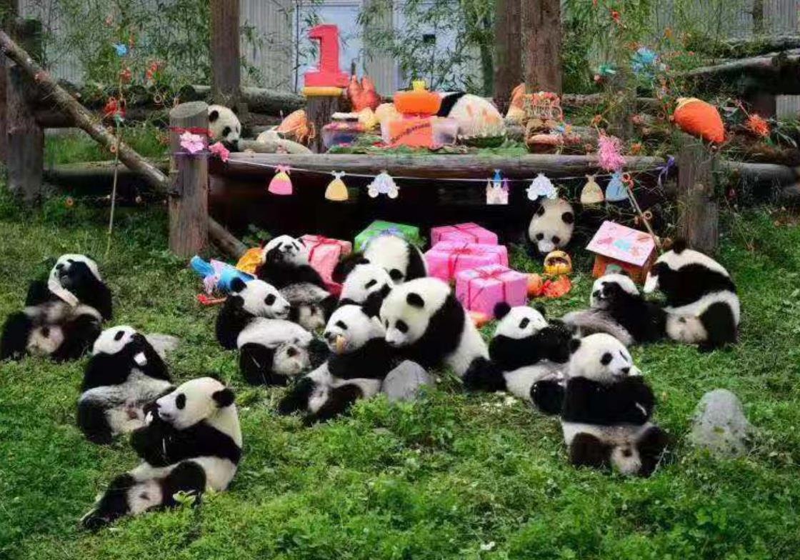 Paket Tour Murah Chengdu, Jiuzhaigou, Huanglong, dan kota-kota sekitarnya di China