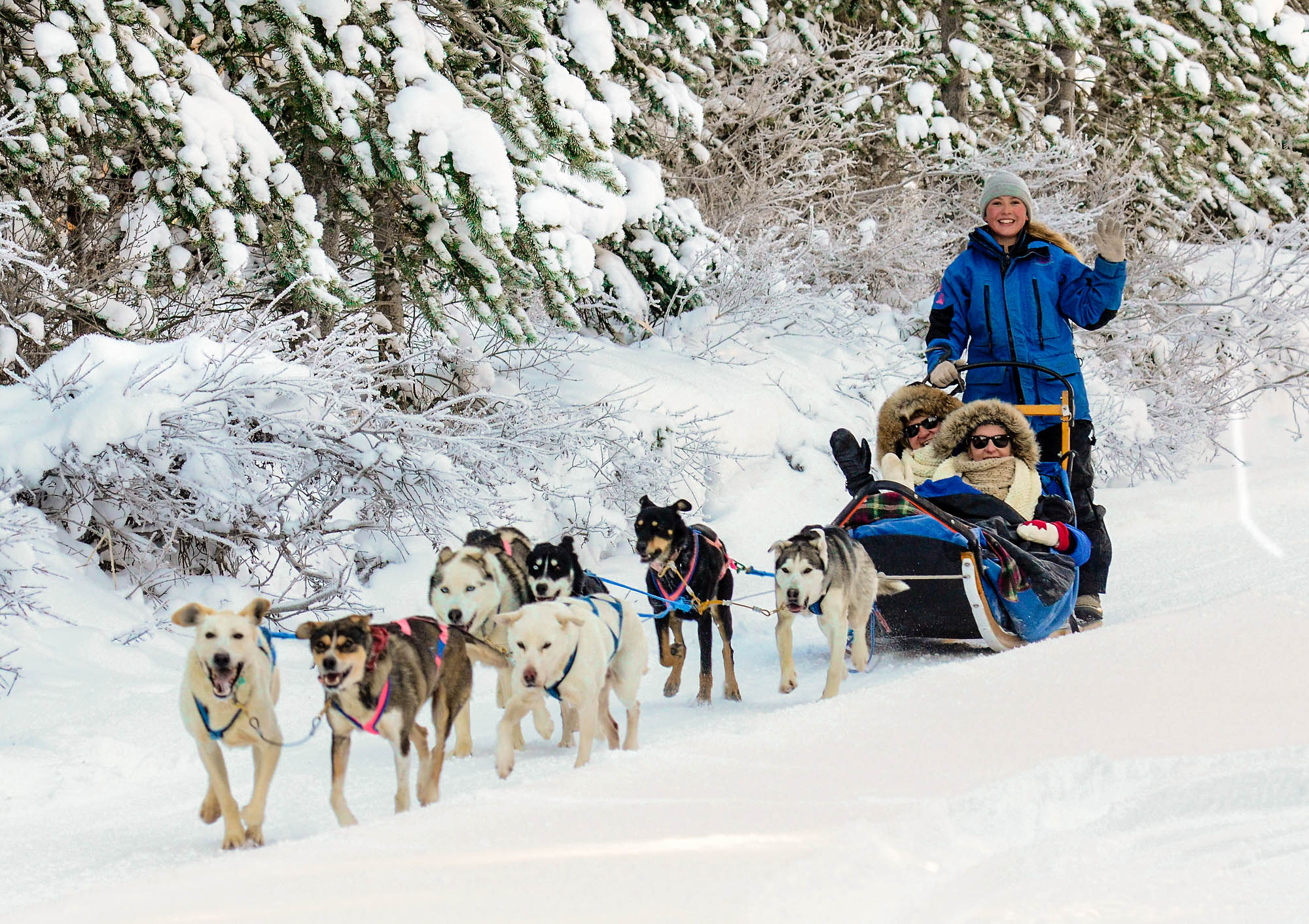 Paket Tour Murah Alaska (AS) Aurora Hunting Trip, Reindeer Walk, Anchorage via Seattle, Fairbanks